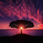 Manage stress with Hypnotherapy and NLP plus CBT Therapy Bristol and North Somerset